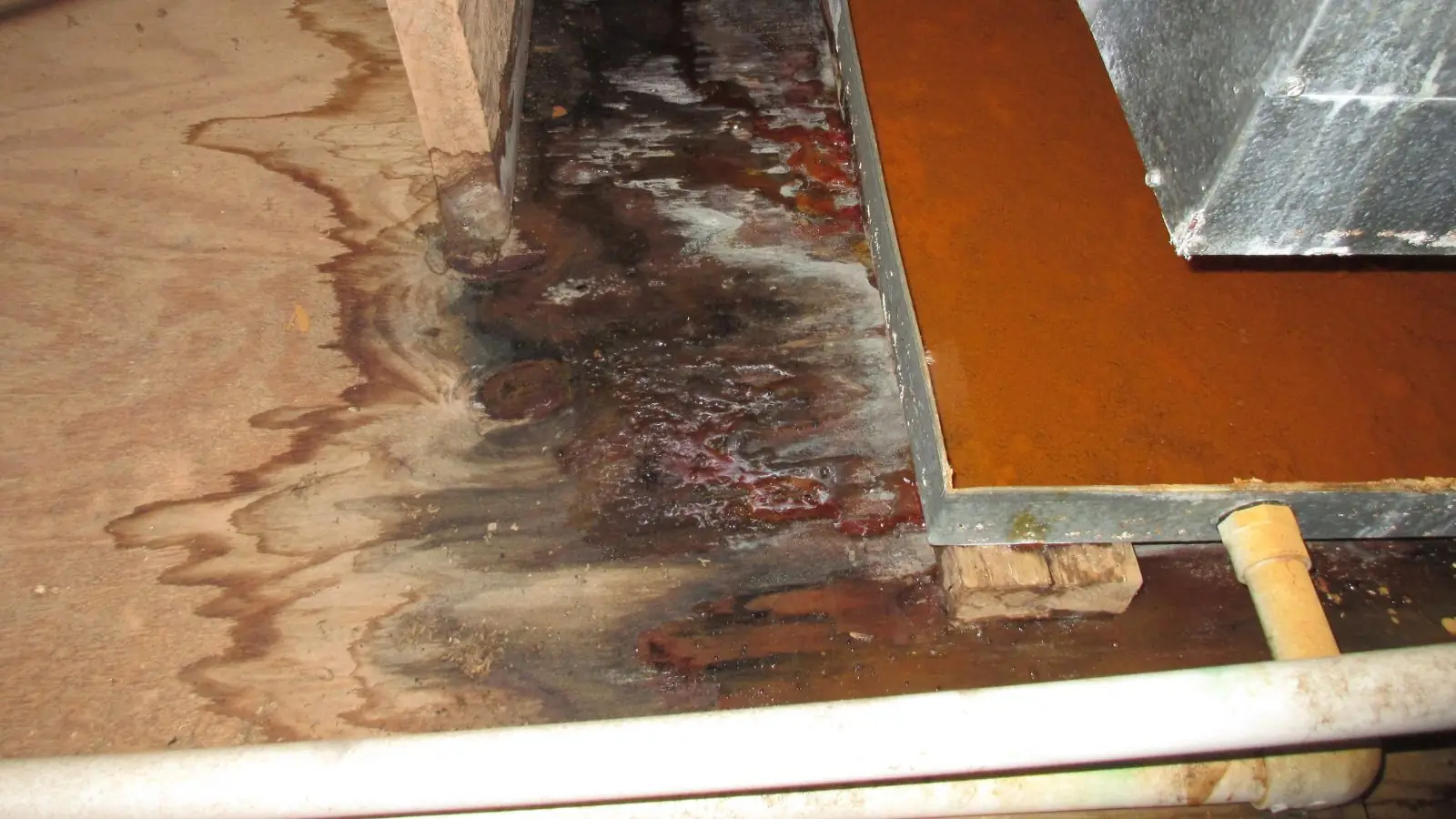 Water-damaged hardwood floor with stained and lifted boards