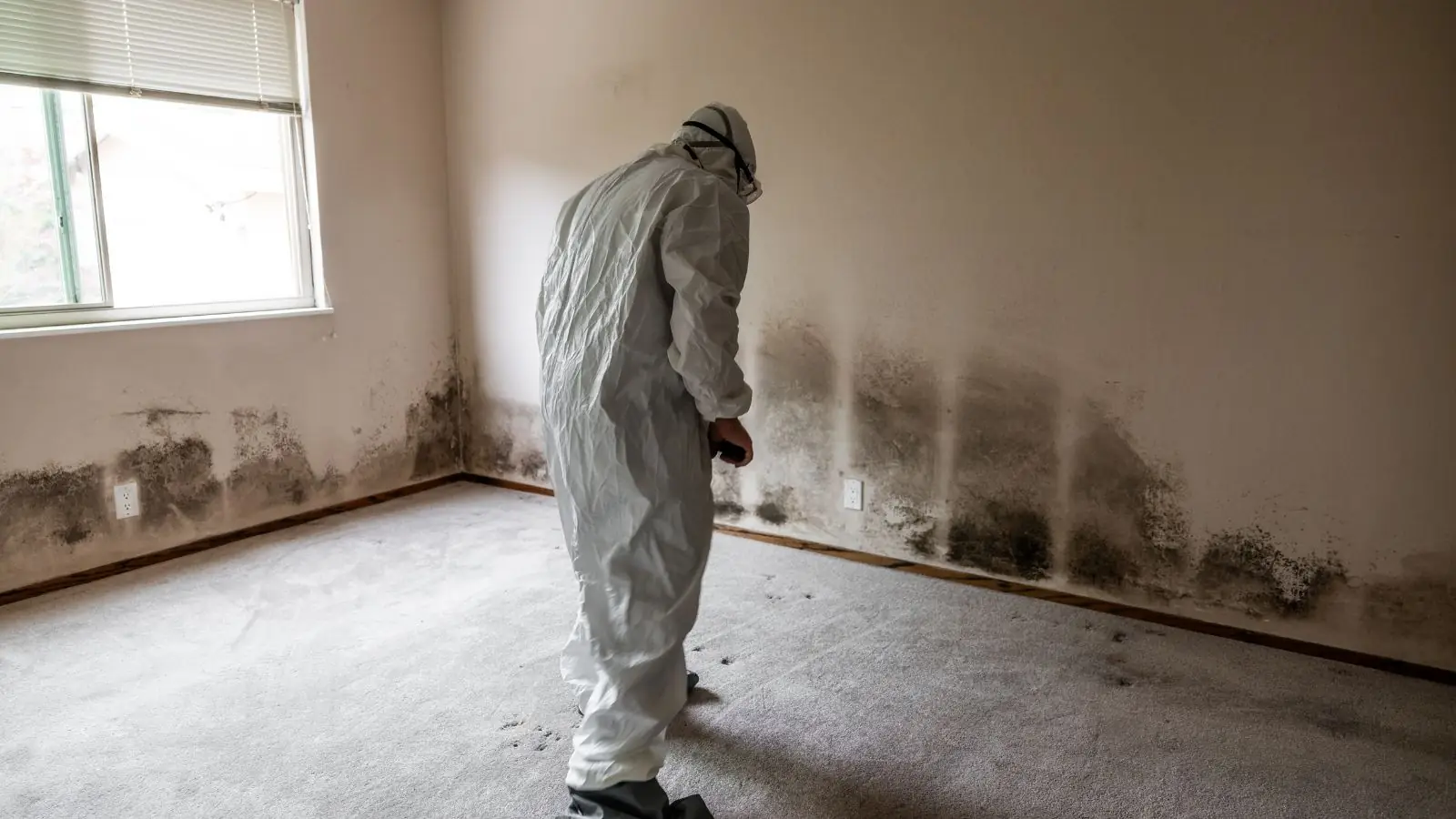 Technician in a protective suit standing in an empty room with mold staining on the lower walls