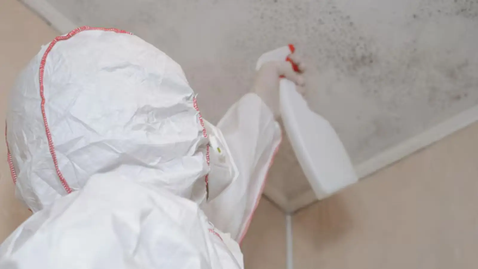 Person in a hooded protective suit cleaning mold at a ceiling corner with a spray bottle