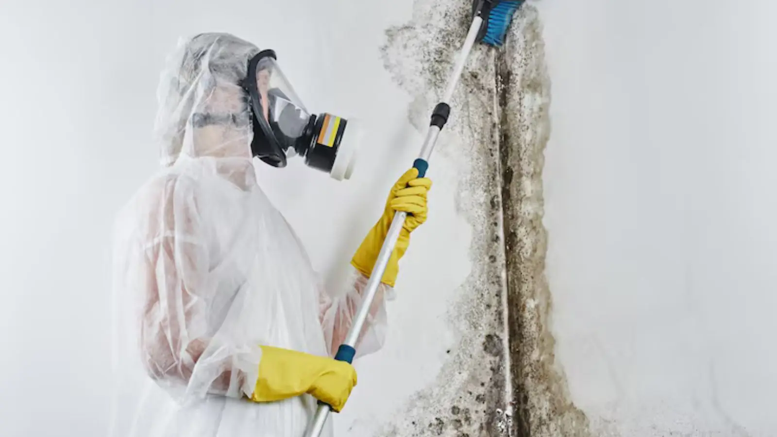 Technician in a respirator and protective suit treating mold on a wall with a pole sprayer